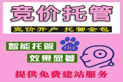 竞价代运营策略调整：一则电商行业的成功故事